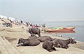 Varanasi - the ghats